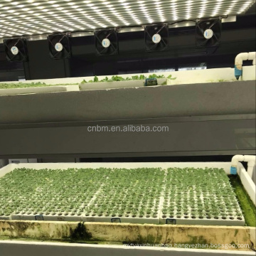 Greenhouse Natural Light Plant Factory Modern Agriculture - Rebe4